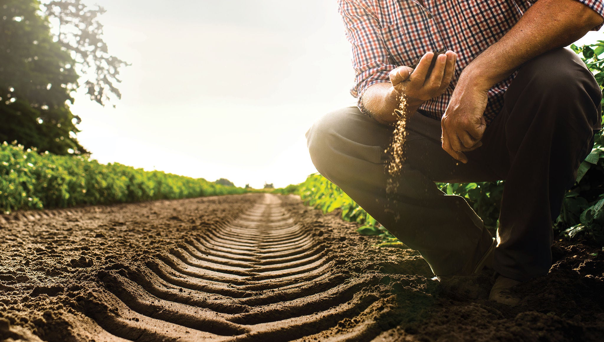 Figure assessing tyre tracks in the soil
